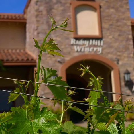 Ruby Hill Winery_Wines_Winery