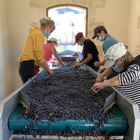 Château Haut Piquat - People