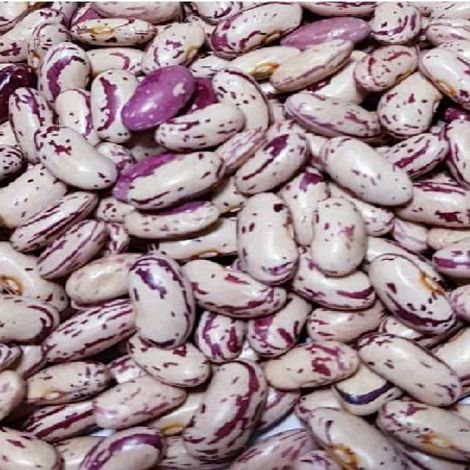 Br Pulses Comercio Importacao e Exportacao Ltda. - Product