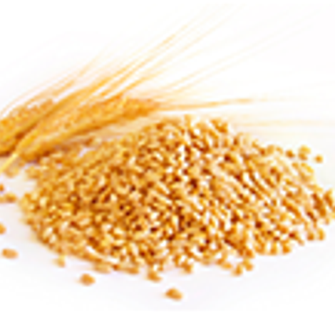 Premium Grains International - Products