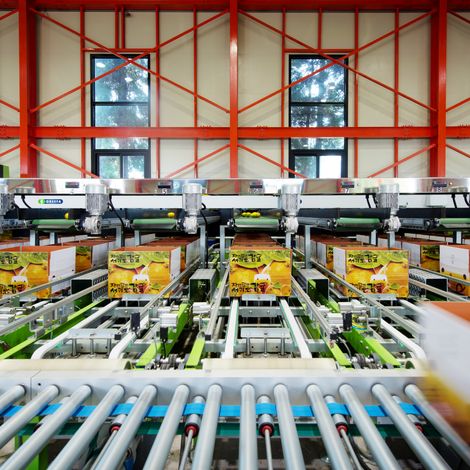 Automated Packaging Line