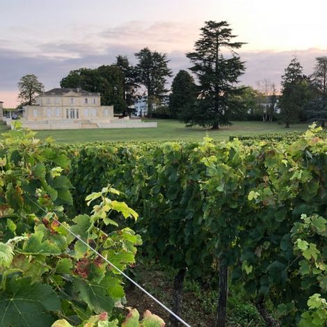 Château Haut Piquat