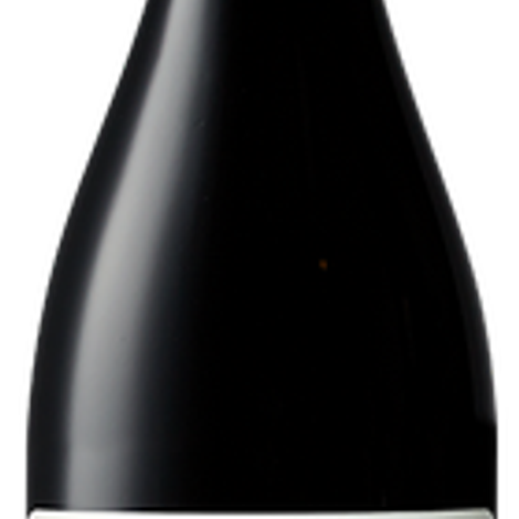 Elizabeth Spencer Winery_ExS Pinot Noir, Sonoma Coast_Red Wine