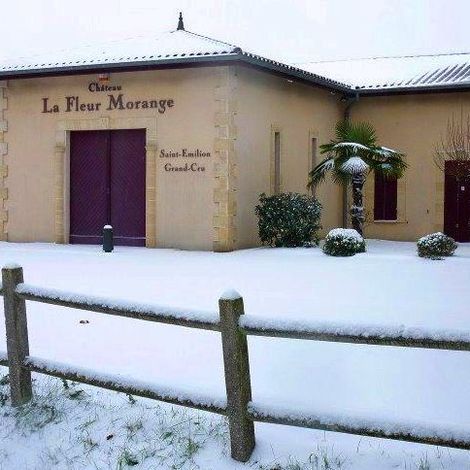 Château La Fleur Morange