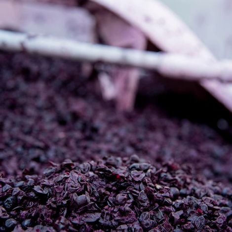 Vine Cliff Winery_Wine_Process1