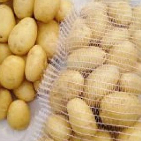 Al-Shareed Enterprises - Products