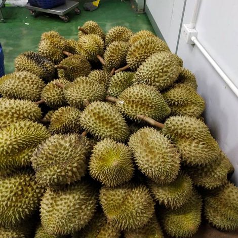 Tropical Green - Durian