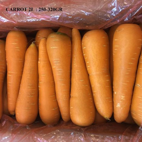 carrot 2018