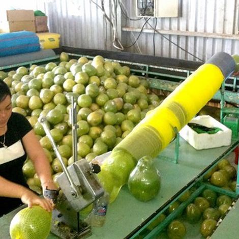 Huong Buoi My Hoa Trading One Member Company Limited - Packaging Area