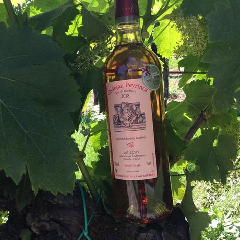 Château Peyrines_Rosé_Rose Wine