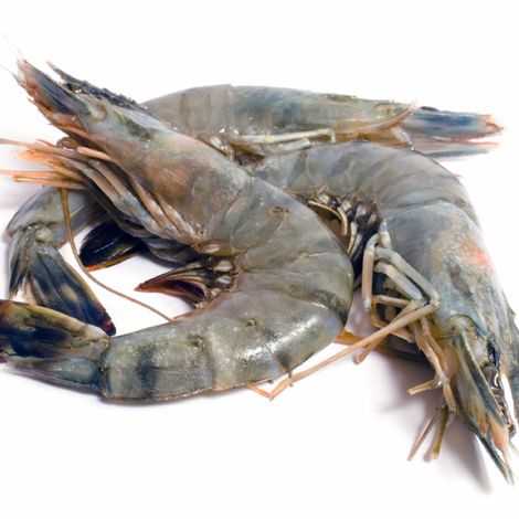 Seafresh Group