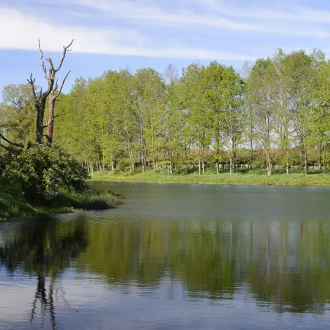 Frutos La Aguada S.A.