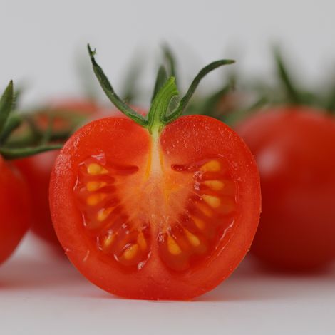 Vittoria tomatoes