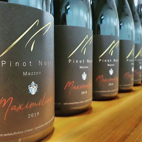 Pinot 2019 is here!