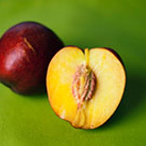 FFC Fresh Fruit Company GmbH