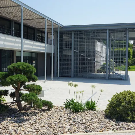Château Balestard la Tonnelle - Cellar