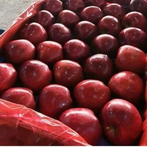 Turkish Red Delicious Apples