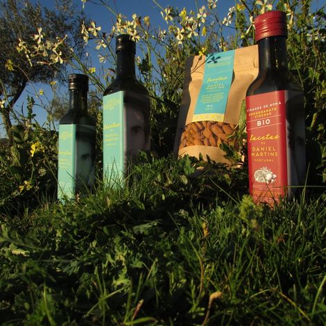 Facetas de Daniel Martins - Products
