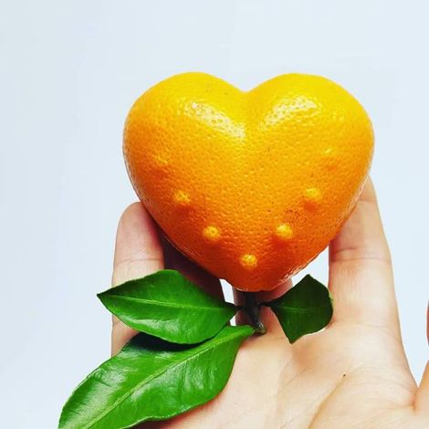 Heart-Shaped Mandarin