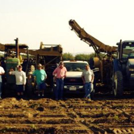 White Wolf Potato Company