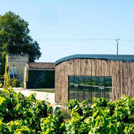 Château d'Arche - Cellar