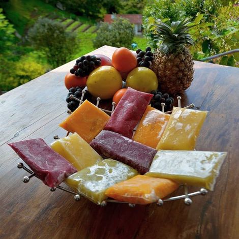 Productos Del Campo San Gregorio Sas - Products