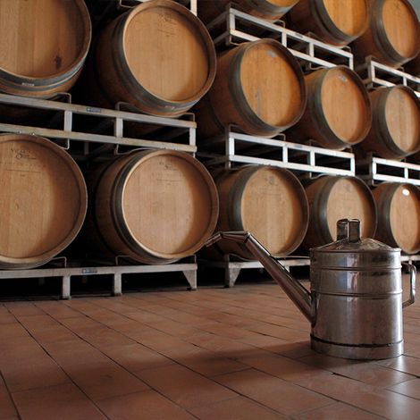 Château Bel-Air_Wines_Cellar