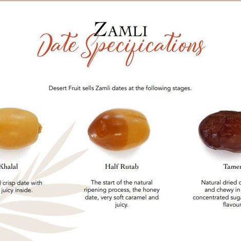 Zamli specs