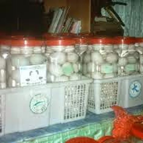 Pembekal Telur Itik Terengganu - Duck Eggs