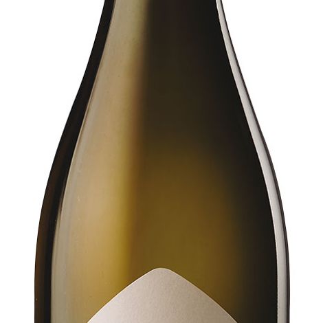 Pinot Grigio