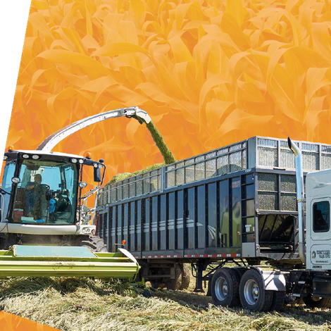 Nutritech International Ltd