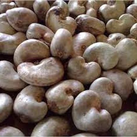 RAW CASHEW.jpg