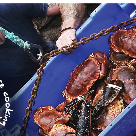 The Blue Sea Food Company