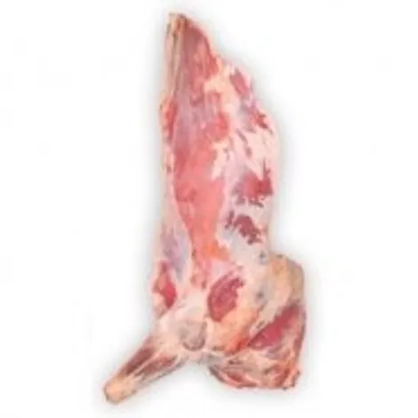 cwierctusza-przednia_m.webp