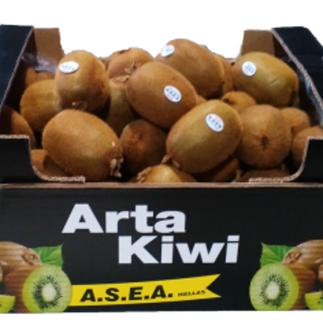 A.S.E.A ARGICULTURAL COOPERATION OF KIWI EXPLOITATION