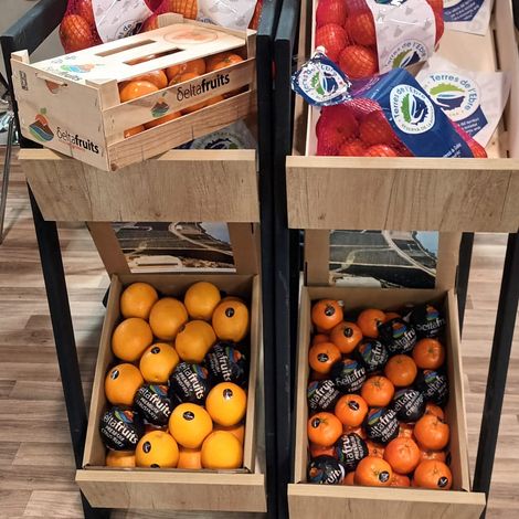 CITRICS TERRES DE L'EBRE, SAT