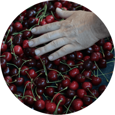 Pignatarosrl.com_ambiente_produzione_home.png