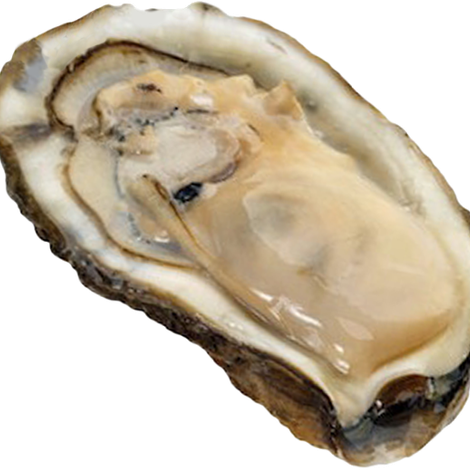 Hoopers Island Oyster Aquaculture Company, LLC