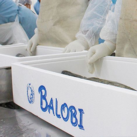 Balobi Group - Processing Area