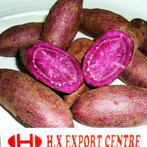 Fresh Sweet Potato