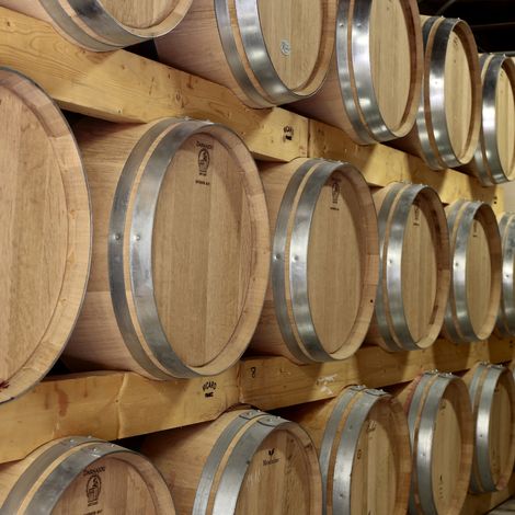 Château Haut la Greneière_Wines_Winery