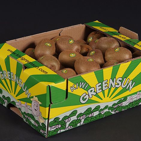KiwiGreenSun_Kiwi_Hayward