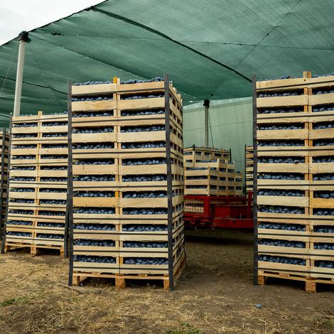 Ionex Trans SRL - Storage