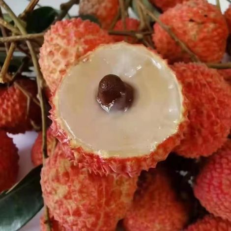 Chinese Guiwei-Delicious taste you will never forget