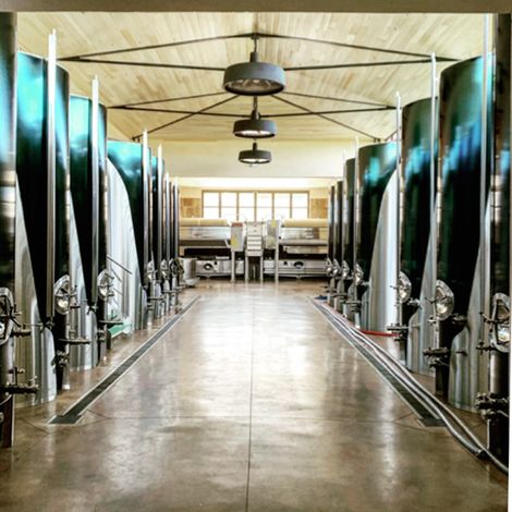 Château de Fargues - Cave