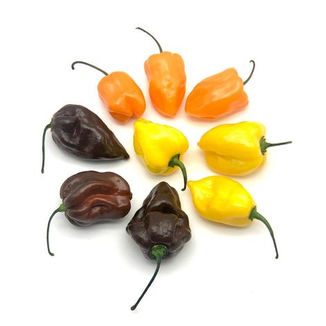 Chefs' Produce - Products