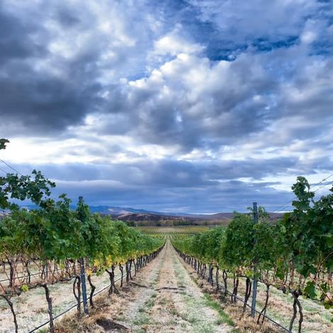 Dunham Cellars