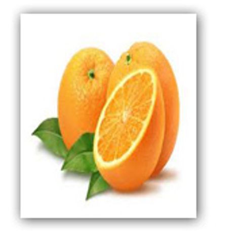 Ergün Halcilik Ambalaj İthalat İhracat Sanayi Ticaret Ltd. Şti.