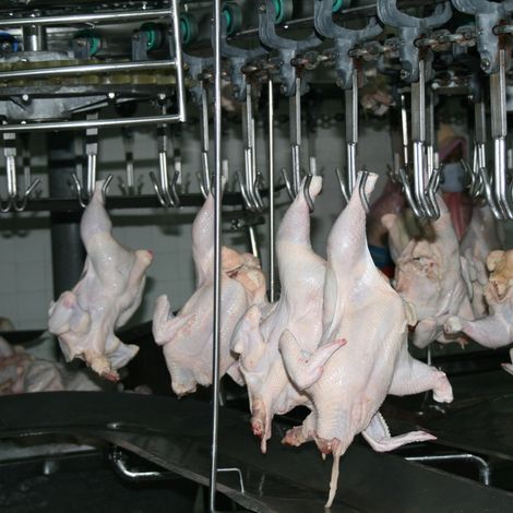 agro_processing_plant.jpg