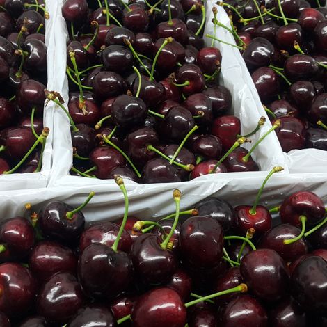 export-cherry-scaled.jpg